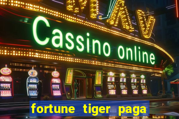 fortune tiger paga de madrugada